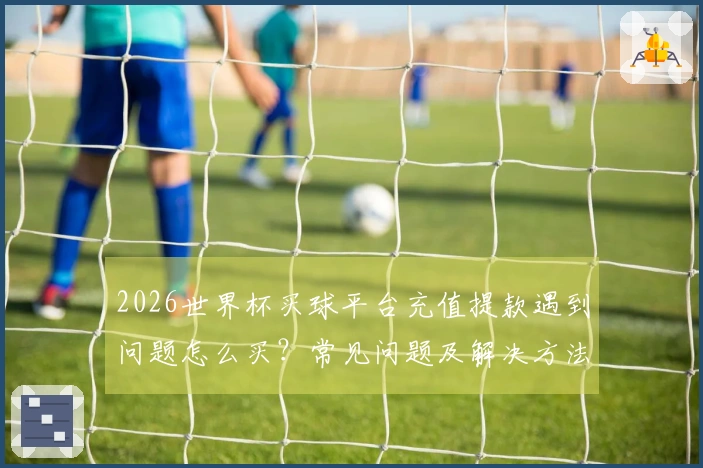 2026世界杯买球平台充值提款遇到问题怎么买？常见问题及解决方法