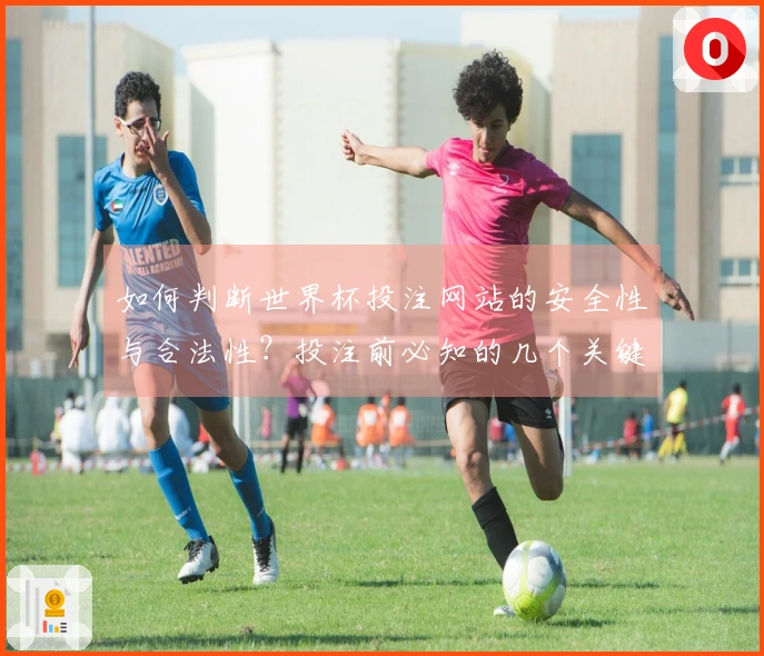 如何判断世界杯投注网站的安全性与合法性？投注前必知的几个关键点
