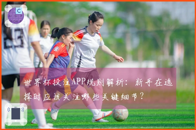 世界杯投注APP规则解析：新手在选择时应该关注哪些关键细节？