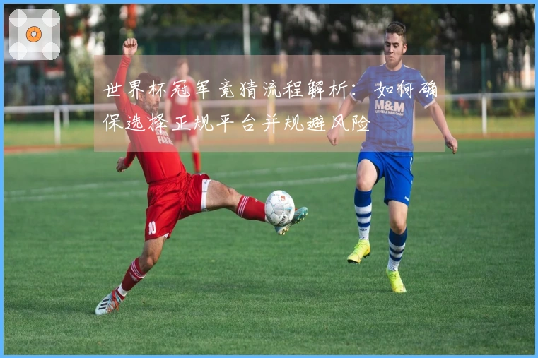 世界杯冠军竞猜流程解析：如何确保选择正规平台并规避风险