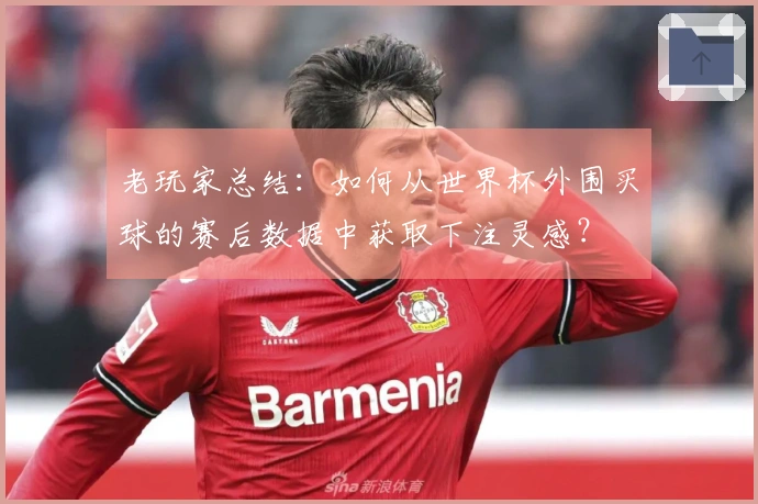 老玩家总结：如何从世界杯外围买球的赛后数据中获取下注灵感？