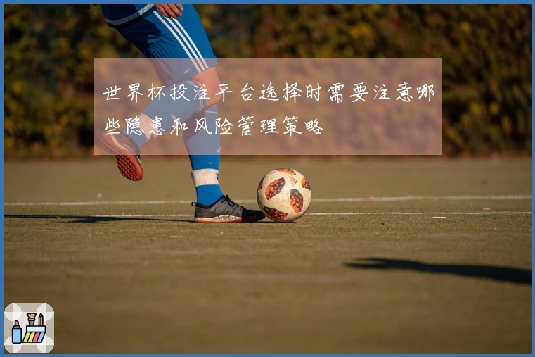 世界杯投注平台选择时需要注意哪些隐患和风险管理策略