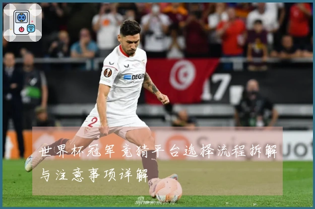 世界杯冠军竞猜平台选择流程拆解与注意事项详解