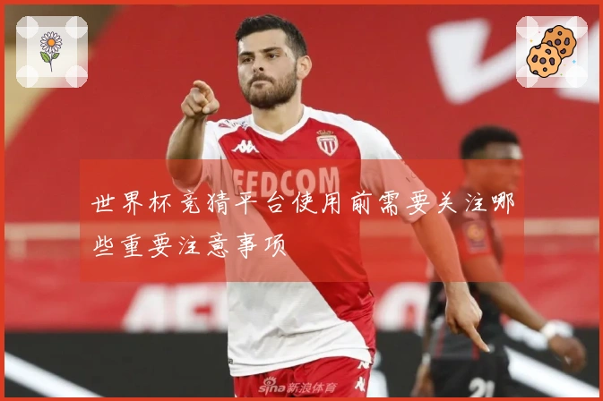 世界杯竞猜平台使用前需要关注哪些重要注意事项