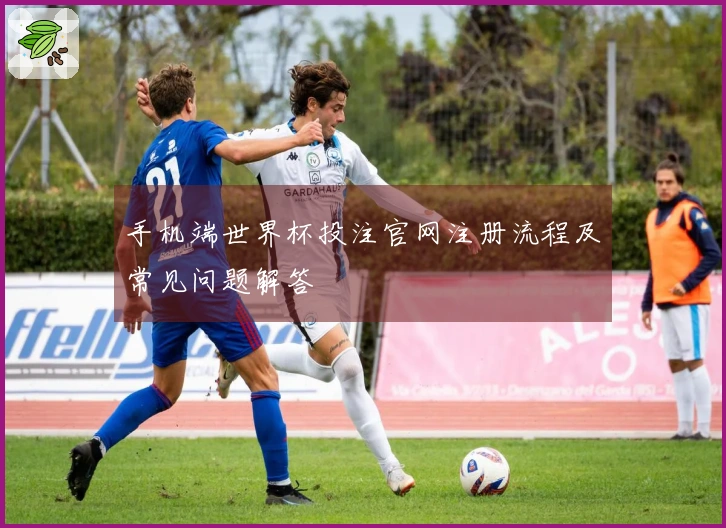 手机端世界杯投注官网注册流程及常见问题解答