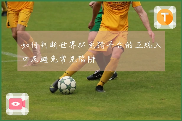 如何判断世界杯竞猜平台的正规入口及避免常见陷阱