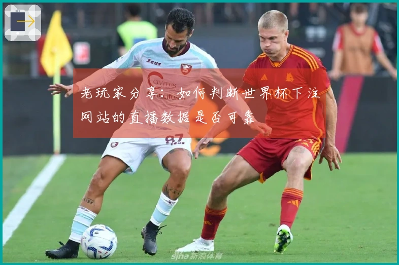 老玩家分享：如何判断世界杯下注网站的直播数据是否可靠