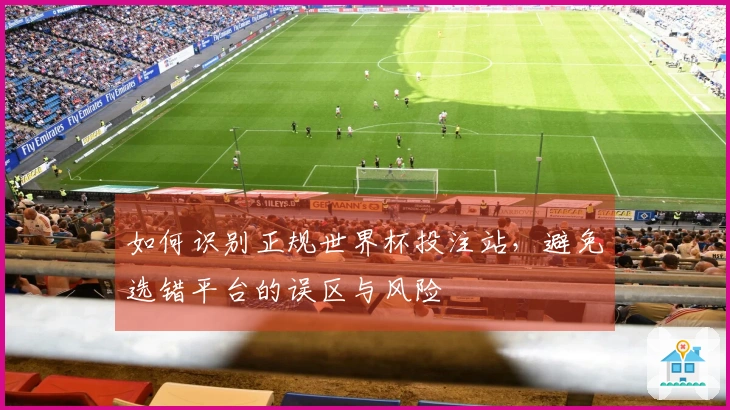 如何识别正规世界杯投注站，避免选错平台的误区与风险