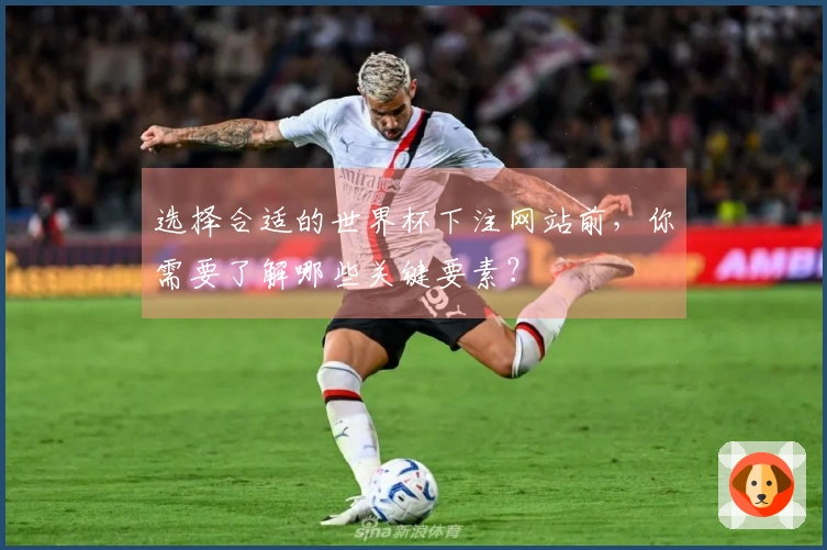 选择合适的世界杯下注网站前，你需要了解哪些关键要素？