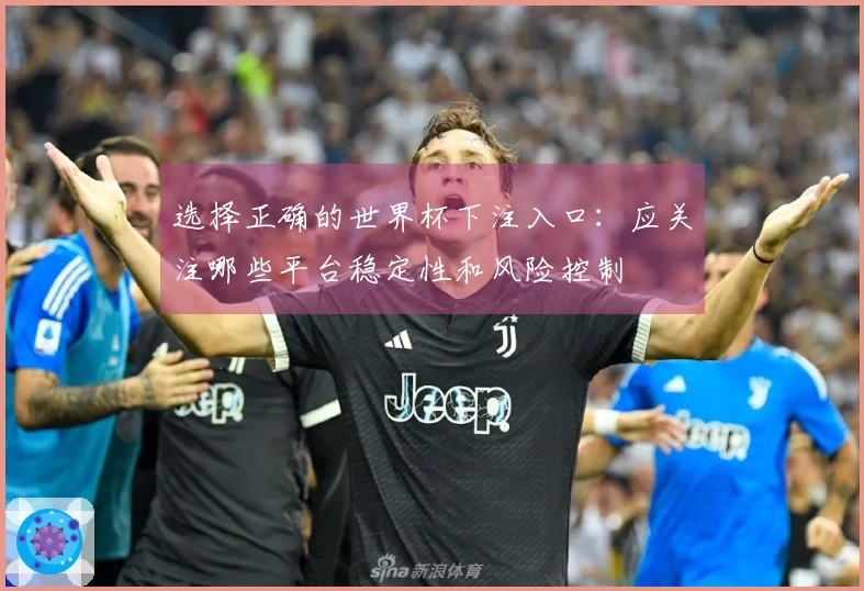 选择正确的世界杯下注入口：应关注哪些平台稳定性和风险控制