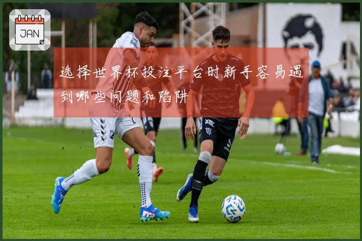 选择世界杯投注平台时新手容易遇到哪些问题和陷阱