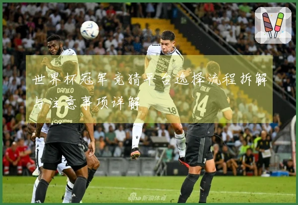 世界杯冠军竞猜平台选择流程拆解与注意事项详解