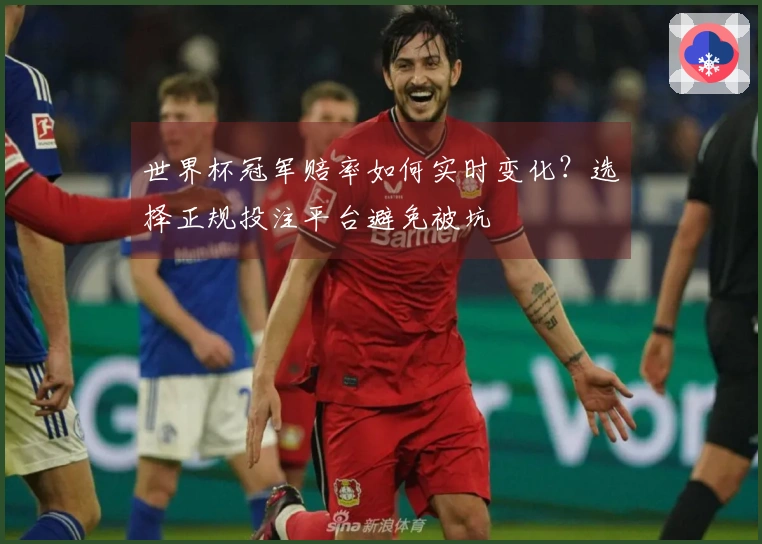 世界杯冠军赔率如何实时变化？选择正规投注平台避免被坑
