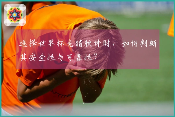 选择世界杯竞猜软件时，如何判断其安全性与可靠性？