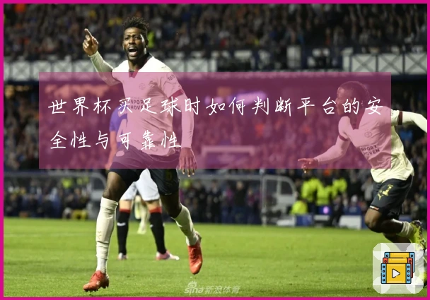 世界杯买足球时如何判断平台的安全性与可靠性