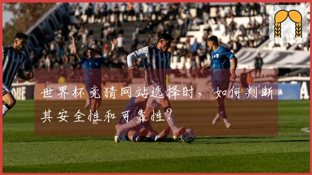 世界杯竞猜网站选择时，如何判断其安全性和可靠性？