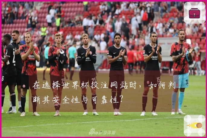 在选择世界杯投注网站时，如何判断其安全性与可靠性？