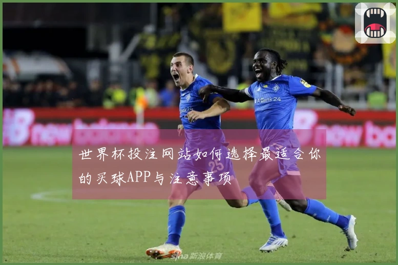 世界杯投注网站如何选择最适合你的买球APP与注意事项