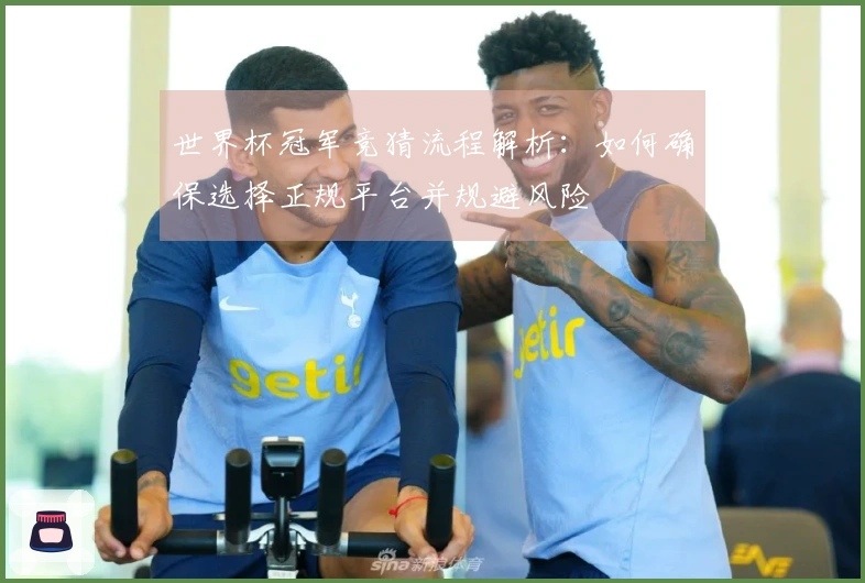 世界杯冠军竞猜流程解析：如何确保选择正规平台并规避风险