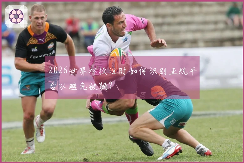 2026世界杯投注时如何识别正规平台以避免被骗？