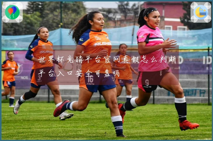 世界杯竞猜平台官网真假怎么判断平台入口安全可靠吗