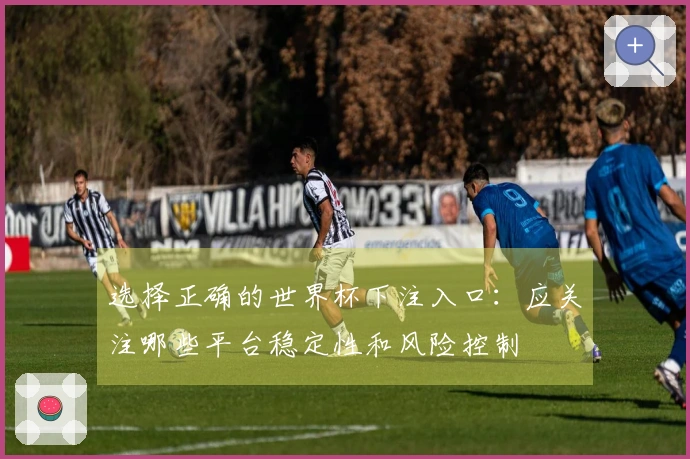 选择正确的世界杯下注入口：应关注哪些平台稳定性和风险控制