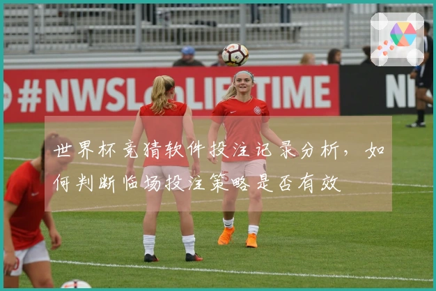 世界杯竞猜软件投注记录分析，如何判断临场投注策略是否有效