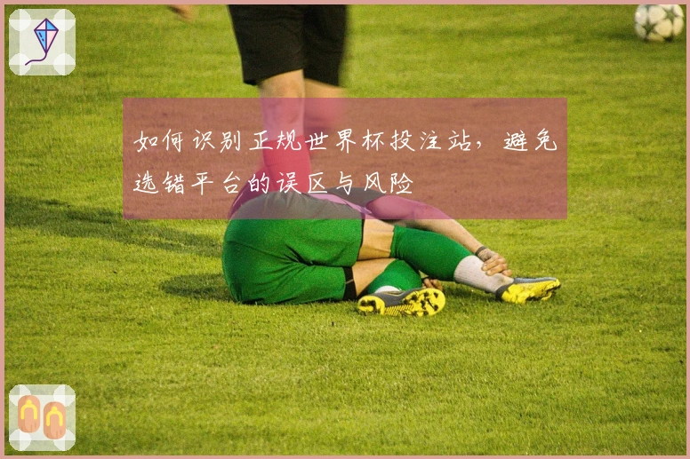 如何识别正规世界杯投注站，避免选错平台的误区与风险