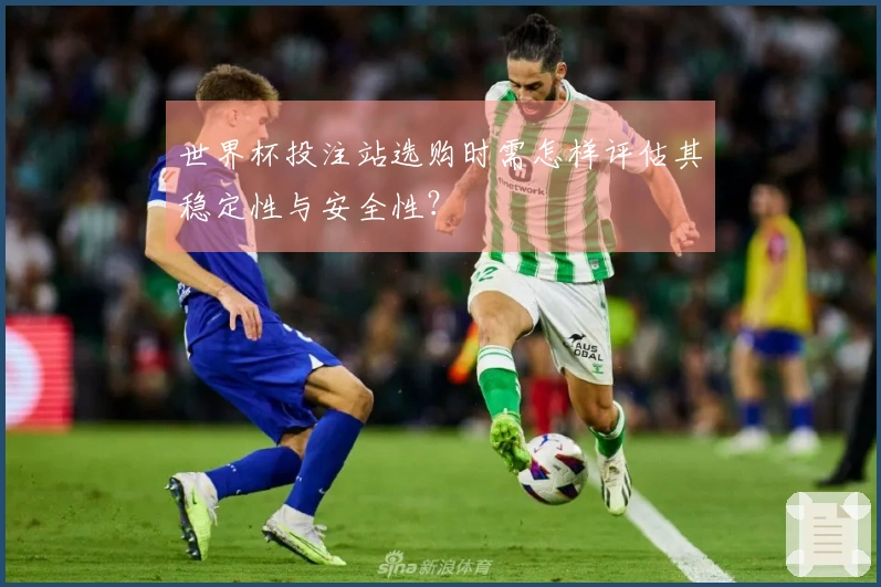 世界杯投注站选购时需怎样评估其稳定性与安全性？