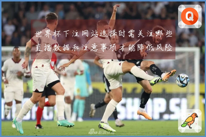 世界杯下注网站选择时需关注哪些直播数据和注意事项才能降低风险