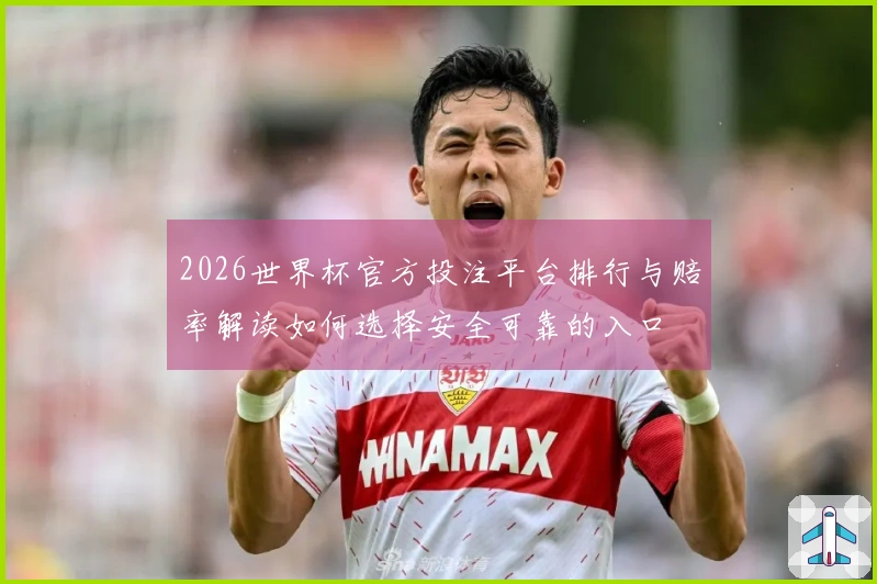 2026世界杯官方投注平台排行与赔率解读如何选择安全可靠的入口