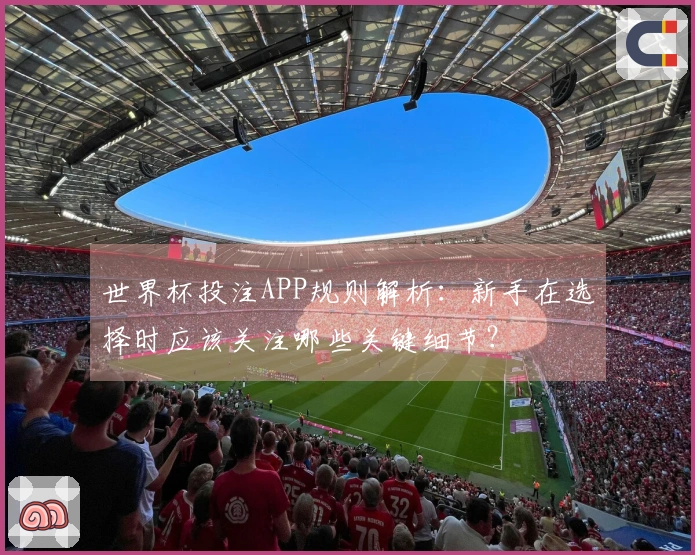 世界杯投注APP规则解析:新手在选择时应该关注哪些关键细节?